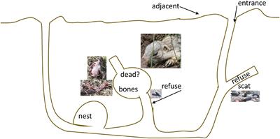 Fine-Scale Spatial Structure of Soil Microbial Communities in Burrows of a Keystone Rodent Following Mass Mortality